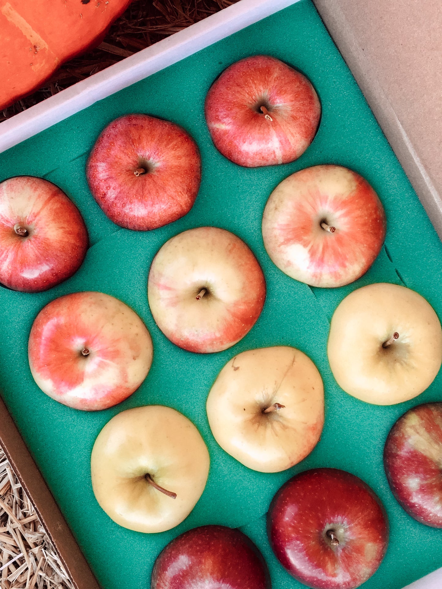 The Orchard Apple Box