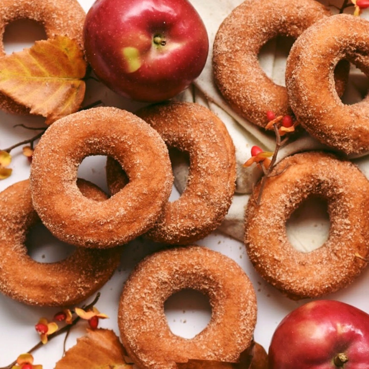 Cider Donut Box